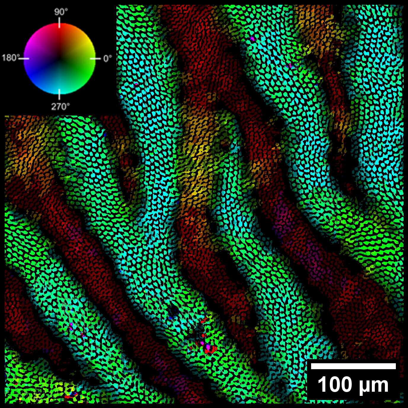 A series of wavy colored patterns denoting fluid flow patterns. 