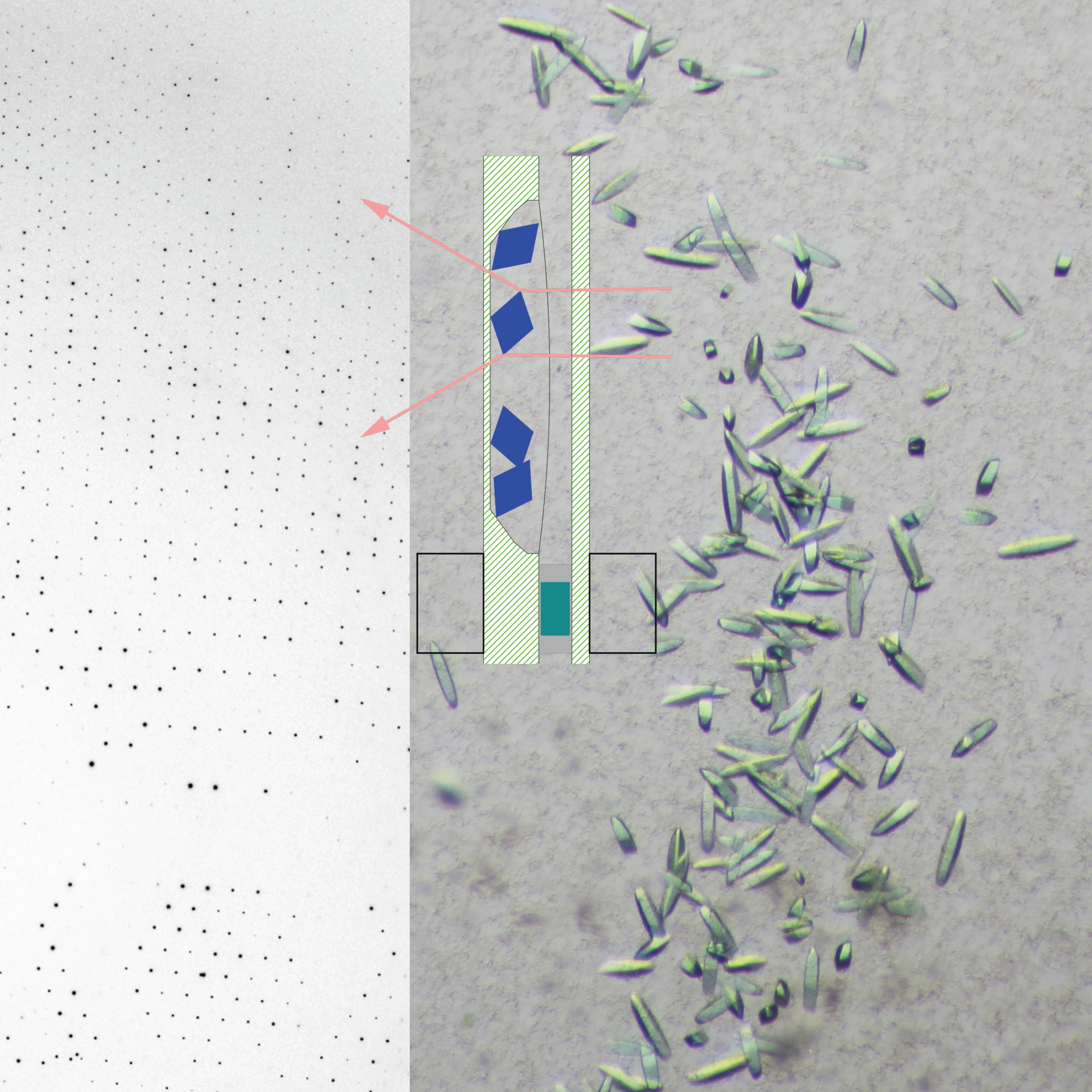 BioCARS_labchip%2018%202246_F1.jpg