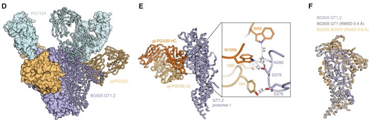 Closeup images of three protein structures made of multicolored ribbons. 