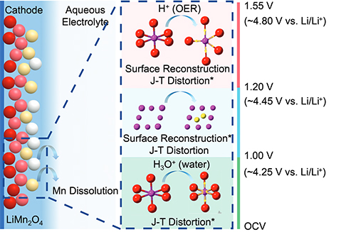 Graphs of multicolored circles representing particles dissolving into an electrolyte. 